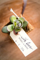Close up photo of wedding rings sitting on a succulent plant
